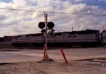 AMTK 384 & 379 lead a train away from the station